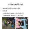 Slide12
